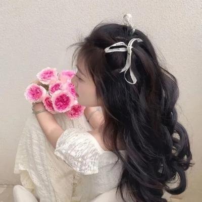 狮子山之星